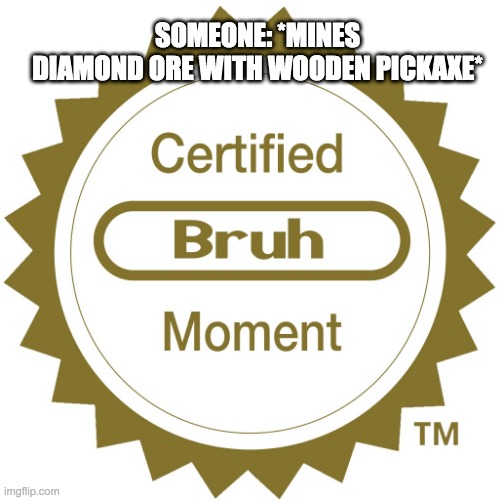 Certified bruh moment | SOMEONE: *MINES DIAMOND ORE WITH WOODEN PICKAXE* | image tagged in certified bruh moment | made w/ Imgflip meme maker