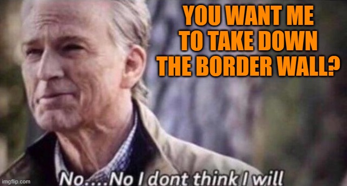 no i don't think i will | YOU WANT ME TO TAKE DOWN THE BORDER WALL? | image tagged in no i don't think i will | made w/ Imgflip meme maker