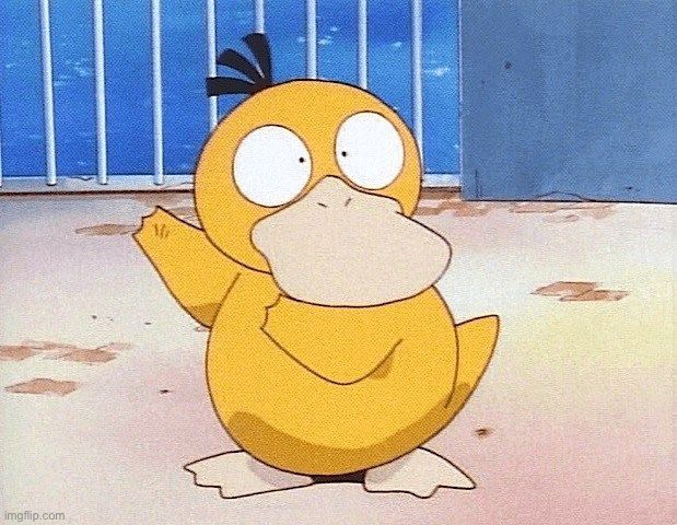 Psyduck shocked | image tagged in psyduck shocked | made w/ Imgflip meme maker