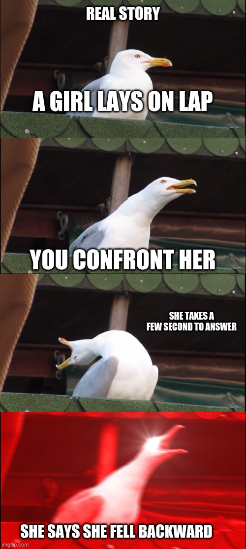 real story | REAL STORY; A GIRL LAYS ON LAP; YOU CONFRONT HER; SHE TAKES A FEW SECOND TO ANSWER; SHE SAYS SHE FELL BACKWARD | image tagged in memes,inhaling seagull,true story | made w/ Imgflip meme maker