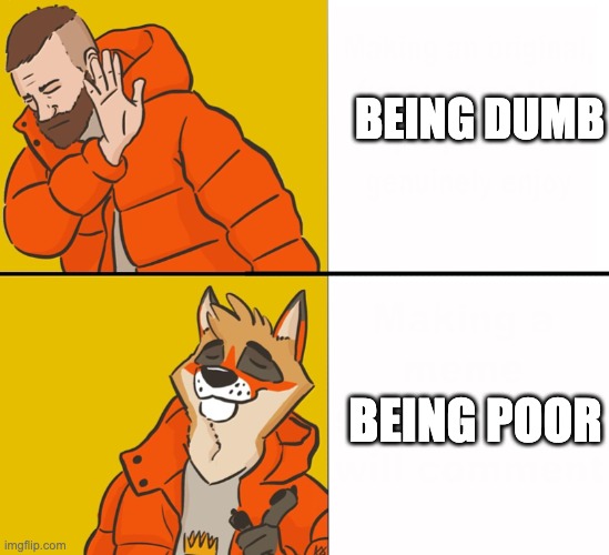 Furry Drake | BEING DUMB; BEING POOR | image tagged in furry drake,furry,anthropomorphisms,furries,drake,funny | made w/ Imgflip meme maker