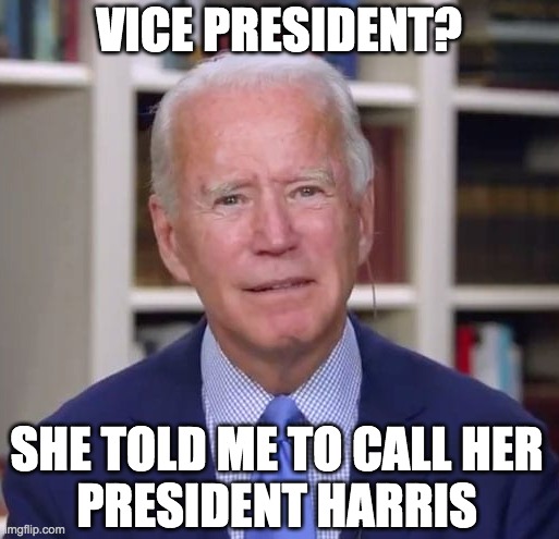 VICE PRESIDENT? SHE TOLD ME TO CALL HER
PRESIDENT HARRIS | made w/ Imgflip meme maker