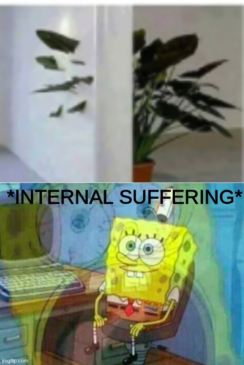 What the heck happened here? | *INTERNAL SUFFERING* | image tagged in memes,funny,you had one job,internal suffering,plant | made w/ Imgflip meme maker