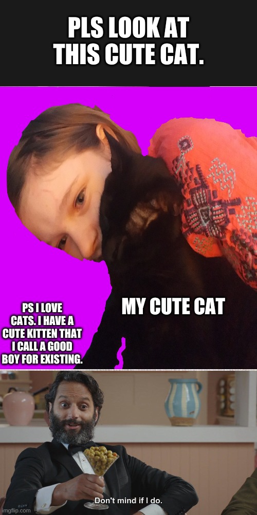 PLS LOOK AT THIS CUTE CAT. MY CUTE CAT; PS I LOVE CATS. I HAVE A CUTE KITTEN THAT I CALL A GOOD BOY FOR EXISTING. | image tagged in memes,cute cat,don't mind if i do | made w/ Imgflip meme maker