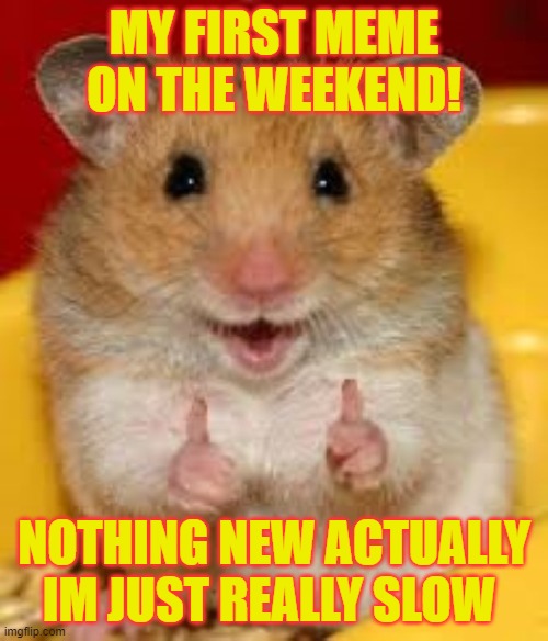 Thumbs up hamster  | MY FIRST MEME ON THE WEEKEND! NOTHING NEW ACTUALLY IM JUST REALLY SLOW | image tagged in thumbs up hamster | made w/ Imgflip meme maker