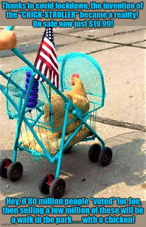 chick stroller | Thanks to covid lockdown, the invention of 
the "CHICK-STROLLER" became a reality! 
On sale now just $19.99! Hey, if 80 million people "voted" for Joe,
then selling a few million of these will be 
a walk in the park . . . with a chicken! | image tagged in chicken stroller,political humor,joe biden,democrats,voter fraud,covid19 | made w/ Imgflip meme maker