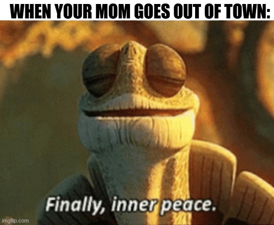 my mom is going out of town thursday i'm gonna miss her but i will be hyped | WHEN YOUR MOM GOES OUT OF TOWN: | image tagged in finally inner peace | made w/ Imgflip meme maker