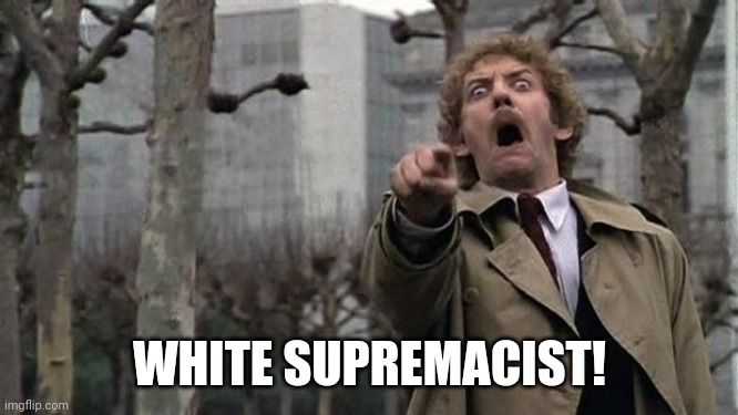 invasion of the body snatchers | WHITE SUPREMACIST! | image tagged in invasion of the body snatchers | made w/ Imgflip meme maker