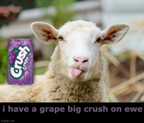 Grape Big Crush | i have a grape big crush on ewe | image tagged in funny memes,dad jokes,eyeroll | made w/ Imgflip meme maker