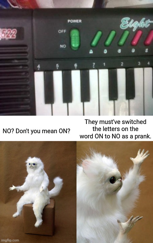 Spelling error on the word ON | NO? Don't you mean ON? They must've switched the letters on the word ON to NO as a prank. | image tagged in memes,persian cat room guardian,spelling error,piano,you had one job,meme | made w/ Imgflip meme maker