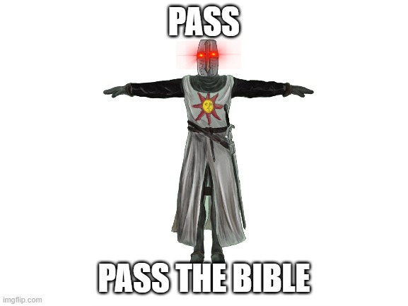 please? | PASS; PASS THE BIBLE | image tagged in mom said its my turn for the holy sword,crusader | made w/ Imgflip meme maker