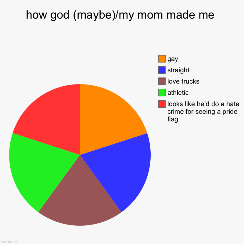 i look like a racist homophobe, but i’m not at all | how god (maybe)/my mom made me | looks like he’d do a hate crime for seeing a pride flag, athletic , love trucks, straight, gay | image tagged in charts,pie charts | made w/ Imgflip chart maker