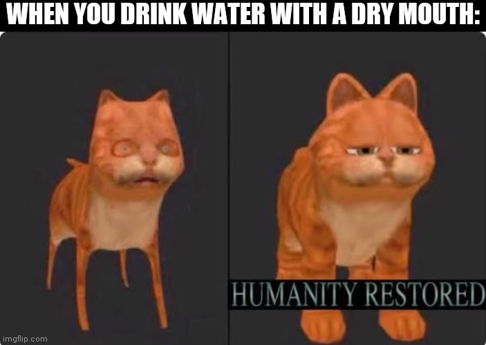 humanity restored | WHEN YOU DRINK WATER WITH A DRY MOUTH: | image tagged in humanity restored | made w/ Imgflip meme maker