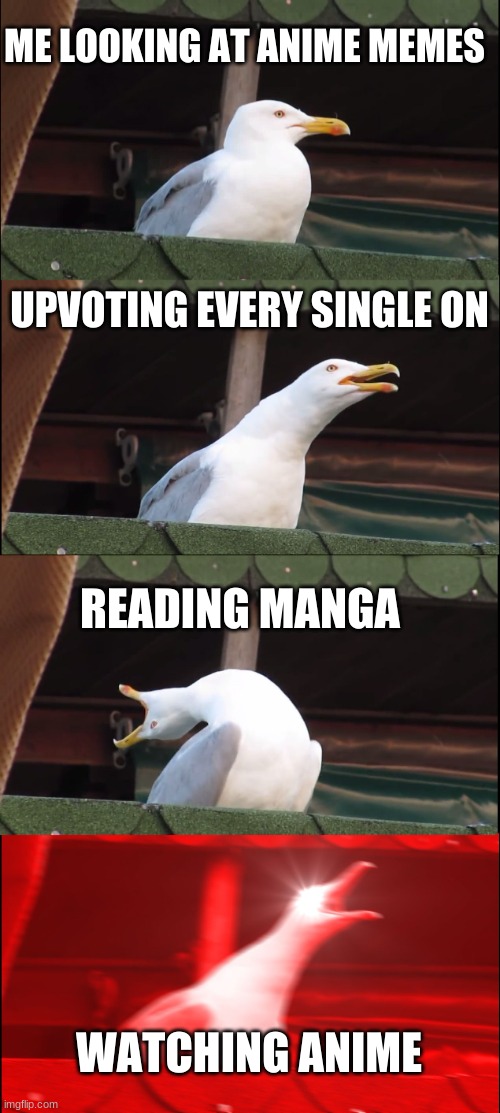 Inhaling Seagull Meme | ME LOOKING AT ANIME MEMES; UPVOTING EVERY SINGLE ON; READING MANGA; WATCHING ANIME | image tagged in memes,inhaling seagull,anime meme | made w/ Imgflip meme maker