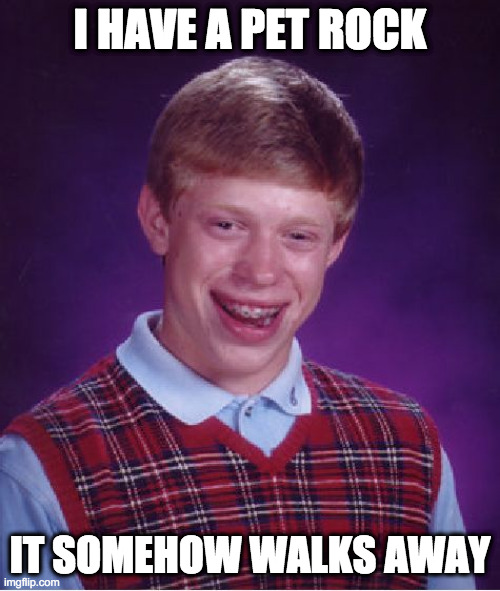 Bad Luck Brian | I HAVE A PET ROCK; IT SOMEHOW WALKS AWAY | image tagged in memes,bad luck brian | made w/ Imgflip meme maker