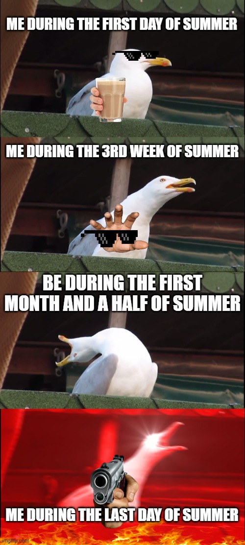 summer is too dang short | ME DURING THE FIRST DAY OF SUMMER; ME DURING THE 3RD WEEK OF SUMMER; BE DURING THE FIRST MONTH AND A HALF OF SUMMER; ME DURING THE LAST DAY OF SUMMER | image tagged in memes,inhaling seagull,summer vacation,back to school | made w/ Imgflip meme maker