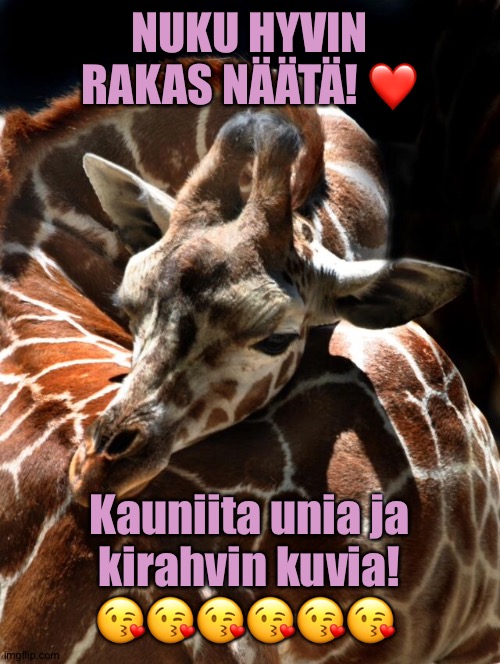 NUKU HYVIN
RAKAS NÄÄTÄ! ❤️; Kauniita unia ja
kirahvin kuvia!
😘😘😘😘😘😘 | made w/ Imgflip meme maker