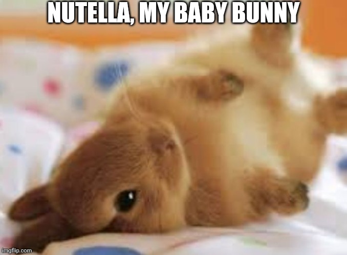 NUTELLA, MY BABY BUNNY | made w/ Imgflip meme maker