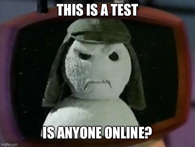 Nestea snowman | THIS IS A TEST; IS ANYONE ONLINE? | image tagged in nestea snowman | made w/ Imgflip meme maker