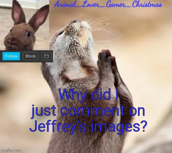 I mean they were hate comments but why did I bother | Why did I just comment on Jeffrey's images? | image tagged in i_love_animals3 announcement template | made w/ Imgflip meme maker