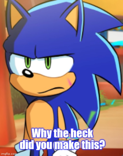 Sonic bruh seriously | Why the heck did you make this? | image tagged in sonic bruh seriously | made w/ Imgflip meme maker