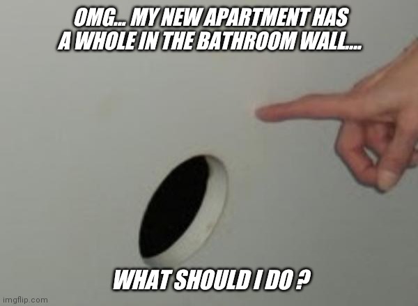The best way to meet your neighbors... | OMG... MY NEW APARTMENT HAS A WHOLE IN THE BATHROOM WALL.... WHAT SHOULD I DO ? | image tagged in bathroom,fun,jeffrey | made w/ Imgflip meme maker
