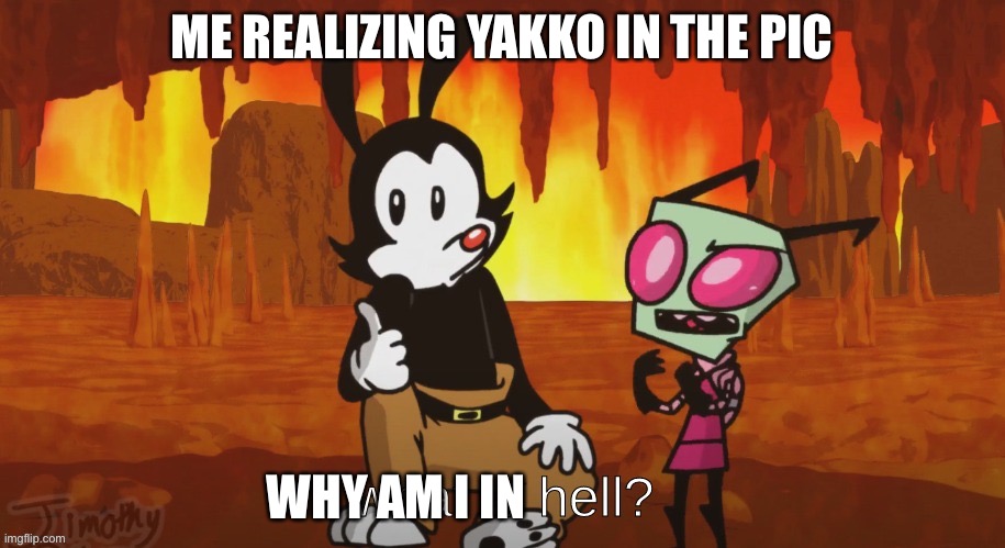 Why Yakko here | ME REALIZING YAKKO IN THE PIC; WHY AM I IN | image tagged in what is hell | made w/ Imgflip meme maker