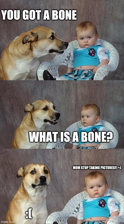 HE NO NO WAT BONE IS | YOU GOT A BONE; WHAT IS A BONE? MOM STOP TAKING PICTURES!! >:(; :( | image tagged in memes,dad joke dog | made w/ Imgflip meme maker