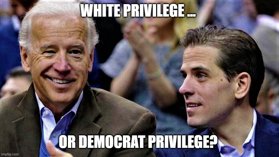 Joe & Hunter Biden | WHITE PRIVILEGE ... OR DEMOCRAT PRIVILEGE? | image tagged in joe hunter biden | made w/ Imgflip meme maker