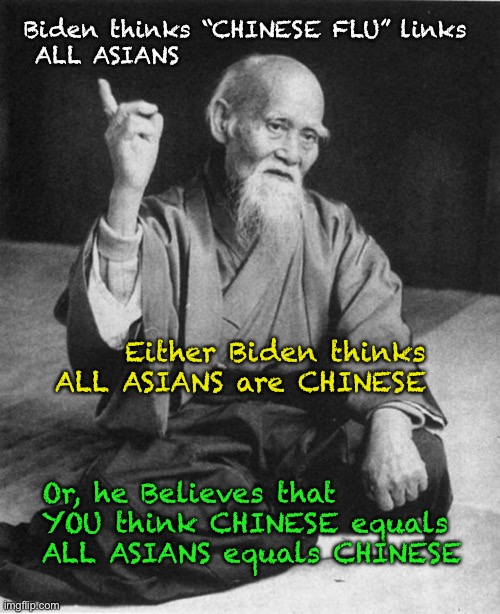 Xenophobic Biden Administration    ~neverwoke~ | Biden thinks “CHINESE FLU” links
 ALL ASIANS; Either Biden thinks ALL ASIANS are CHINESE; Or, he Believes that YOU think CHINESE equals ALL ASIANS equals CHINESE | image tagged in wise master,asian,chinese,thai,korean,japanese | made w/ Imgflip meme maker