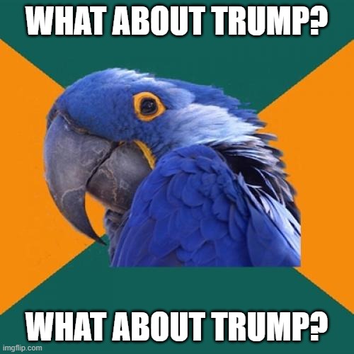 Paranoid Parrot Meme | WHAT ABOUT TRUMP? WHAT ABOUT TRUMP? | image tagged in memes,paranoid parrot | made w/ Imgflip meme maker