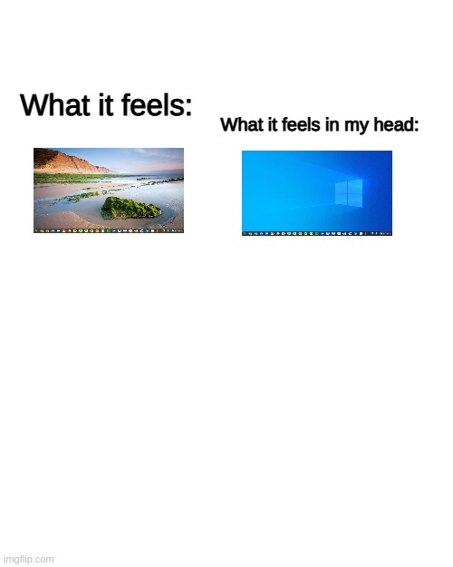 windowsbook | What it feels:; What it feels in my head: | image tagged in memes,blank transparent square | made w/ Imgflip meme maker