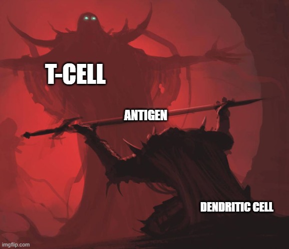The Antigen Presenter | T-CELL; ANTIGEN; DENDRITIC CELL | image tagged in man giving sword to larger man,medicine,nerd,biology,science,school | made w/ Imgflip meme maker