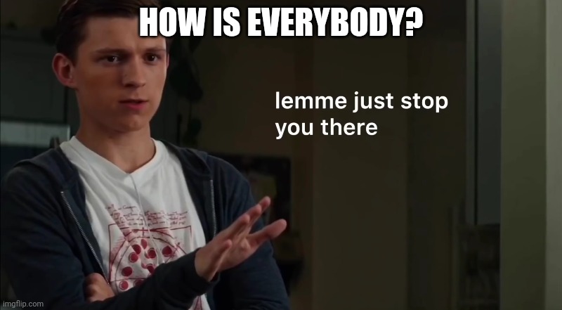 Lemme just stop you there | HOW IS EVERYBODY? | image tagged in lemme just stop you there | made w/ Imgflip meme maker
