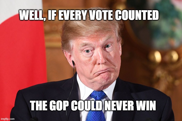 Trump dumbfounded | WELL, IF EVERY VOTE COUNTED THE GOP COULD NEVER WIN | image tagged in trump dumbfounded | made w/ Imgflip meme maker