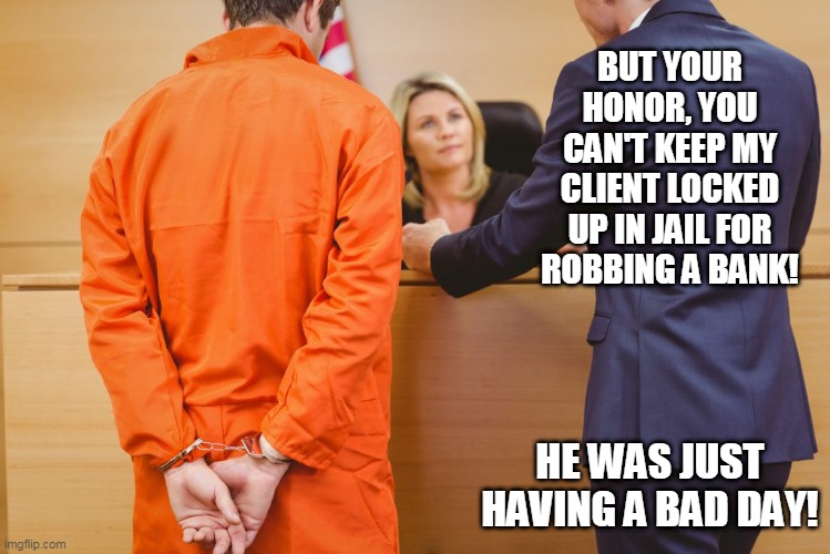 BUT YOUR HONOR, YOU CAN'T KEEP MY CLIENT LOCKED UP IN JAIL FOR ROBBING A BANK! HE WAS JUST HAVING A BAD DAY! | image tagged in having a bad day | made w/ Imgflip meme maker