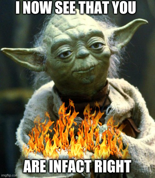 Star Wars Yoda Meme | I NOW SEE THAT YOU ARE INFACT RIGHT | image tagged in memes,star wars yoda | made w/ Imgflip meme maker