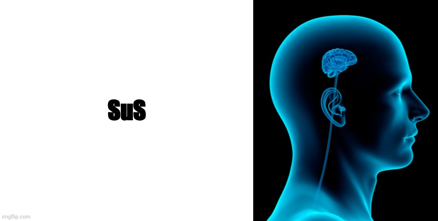 SuS | image tagged in blank white template,small brain | made w/ Imgflip meme maker