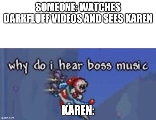 why do i hear boss music | SOMEONE: WATCHES DARKFLUFF VIDEOS AND SEES KAREN; KAREN: | image tagged in why do i hear boss music | made w/ Imgflip meme maker
