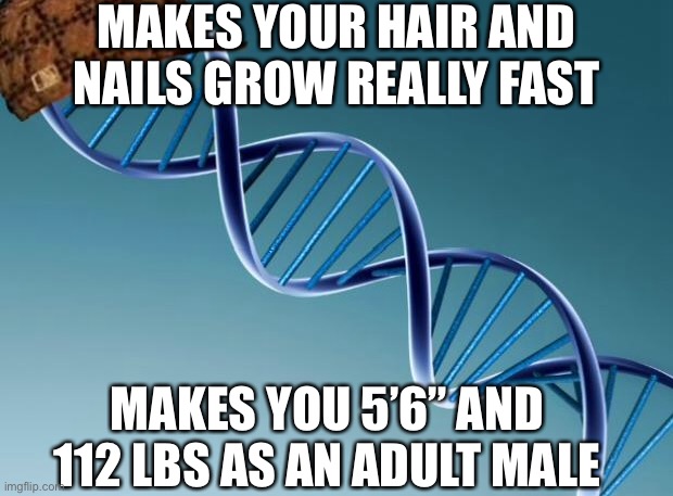 My Scumbag Genetics | MAKES YOUR HAIR AND NAILS GROW REALLY FAST; MAKES YOU 5’6” AND 112 LBS AS AN ADULT MALE | image tagged in scumbag dna,hair,weight,genetics,short | made w/ Imgflip meme maker