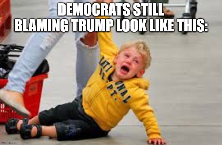 Tantrum store | DEMOCRATS STILL BLAMING TRUMP LOOK LIKE THIS: | image tagged in tantrum store | made w/ Imgflip meme maker