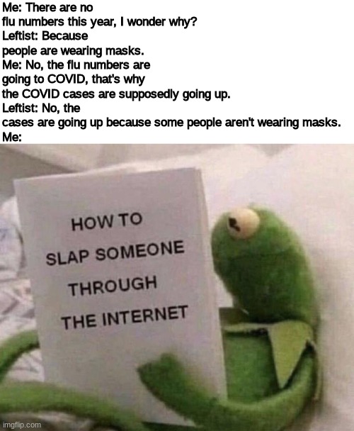 Kermit How to slap someone through the internet | Me: There are no flu numbers this year, I wonder why?
Leftist: Because people are wearing masks.
Me: No, the flu numbers are going to COVID, that's why the COVID cases are supposedly going up.
Leftist: No, the cases are going up because some people aren't wearing masks.
Me: | image tagged in kermit how to slap someone through the internet,mask,face mask | made w/ Imgflip meme maker