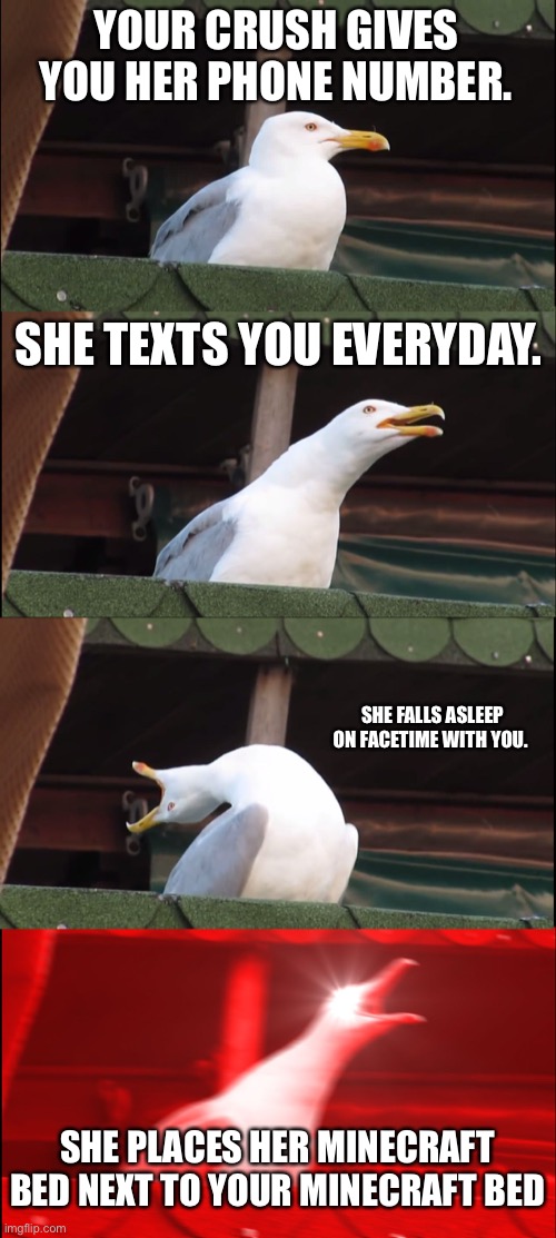 CRUSH MINECRAFT MEME | YOUR CRUSH GIVES YOU HER PHONE NUMBER. SHE TEXTS YOU EVERYDAY. SHE FALLS ASLEEP ON FACETIME WITH YOU. SHE PLACES HER MINECRAFT BED NEXT TO YOUR MINECRAFT BED | image tagged in memes,inhaling seagull,crush,minecraft | made w/ Imgflip meme maker