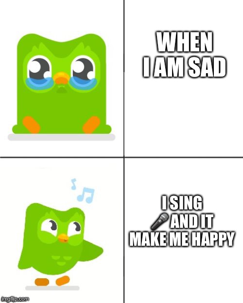 Duolingo Drake meme |  WHEN I AM SAD; I SING 🎤 AND IT MAKE ME HAPPY | image tagged in duolingo drake meme | made w/ Imgflip meme maker