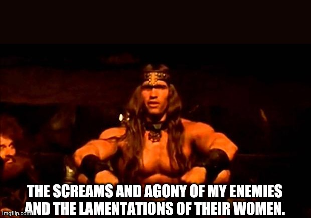 conan crush your enemies | THE SCREAMS AND AGONY OF MY ENEMIES AND THE LAMENTATIONS OF THEIR WOMEN. | image tagged in conan crush your enemies | made w/ Imgflip meme maker
