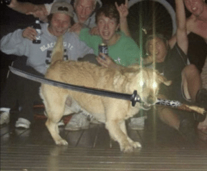 Dog surrounded by guys Blank Meme Template