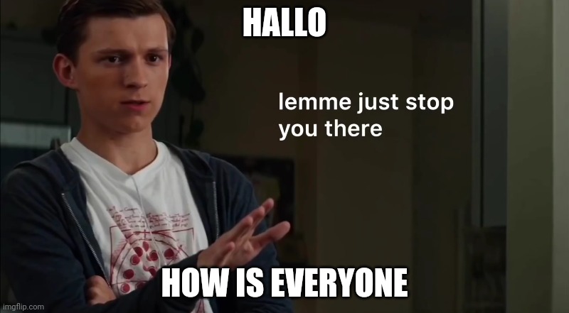 Lemme just stop you there | HALLO; HOW IS EVERYONE | image tagged in lemme just stop you there | made w/ Imgflip meme maker