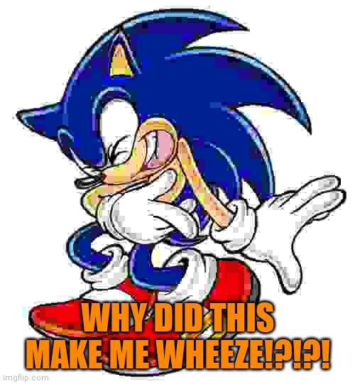 Sonic laugh | WHY DID THIS MAKE ME WHEEZE!?!?! | image tagged in sonic laugh | made w/ Imgflip meme maker