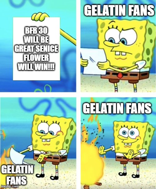 Spongebob Burning Paper | GELATIN FANS; BFB 30 WILL BE GREAT SENICE FLOWER WILL WIN!!! GELATIN FANS; GELATIN FANS | image tagged in spongebob burning paper | made w/ Imgflip meme maker