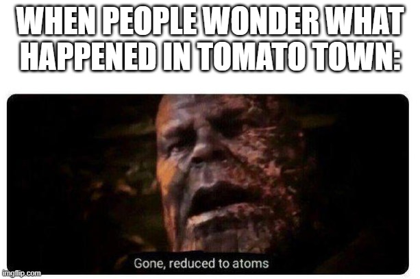 gone reduced to atoms | WHEN PEOPLE WONDER WHAT HAPPENED IN TOMATO TOWN: | image tagged in gone reduced to atoms | made w/ Imgflip meme maker